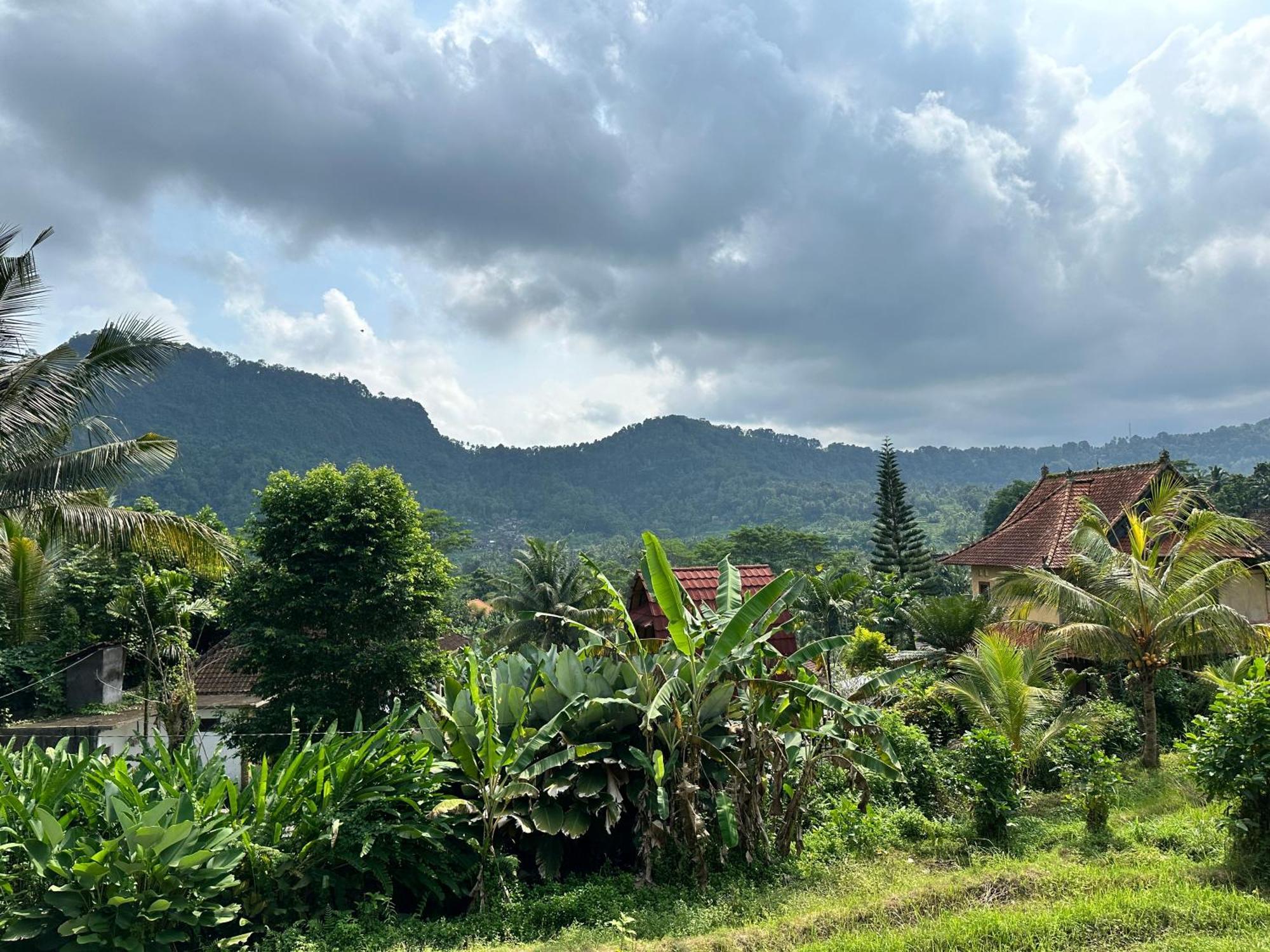 D'Janu Homestay Sidemen  Exterior photo
